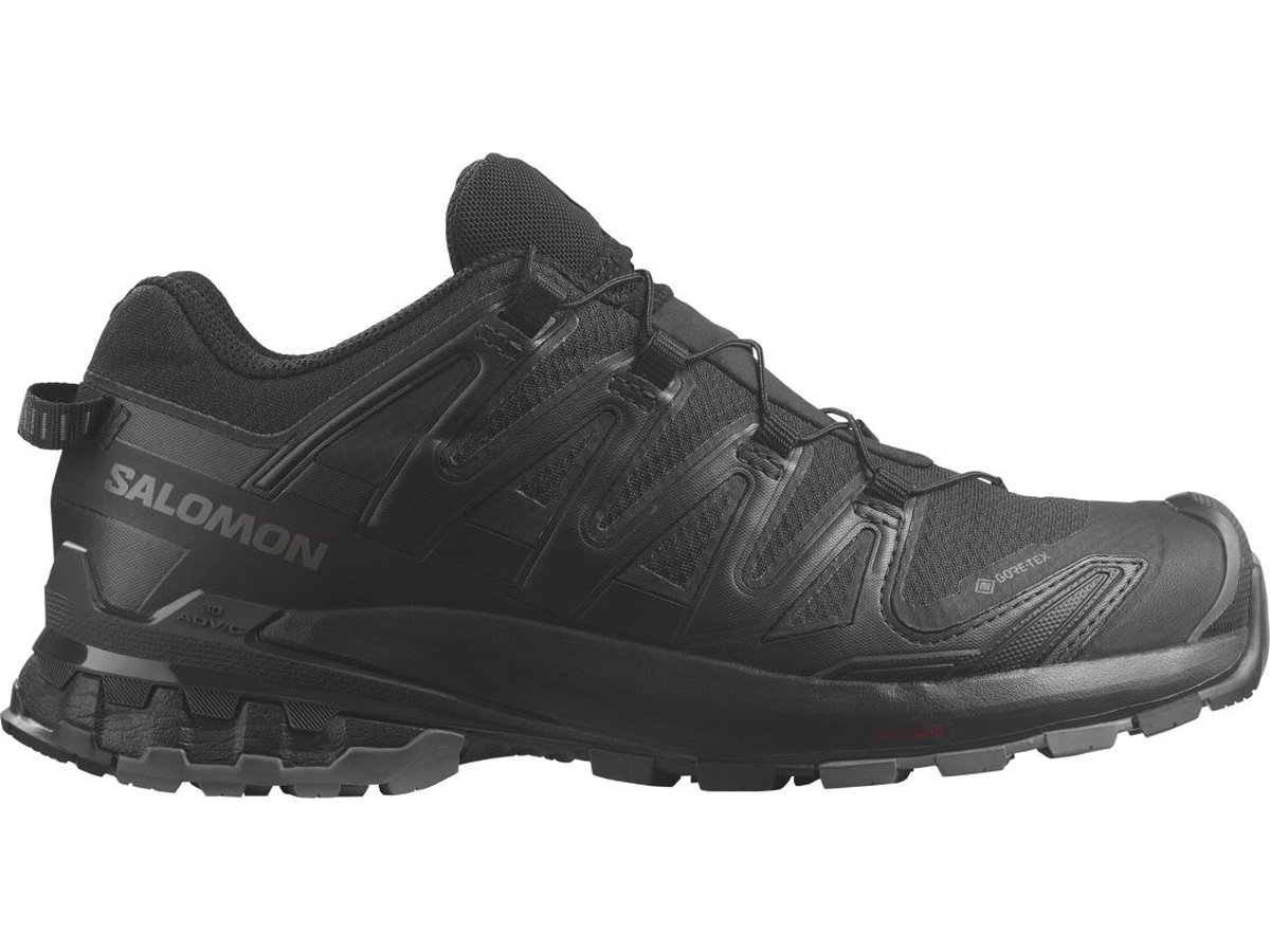 Salomon GTX